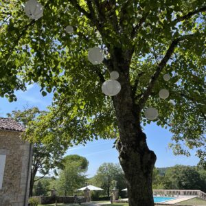 Lampions blancs divers tailles