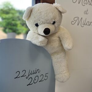 Ours blanc (petit)