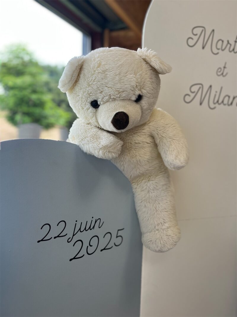 Ours blanc (petit)